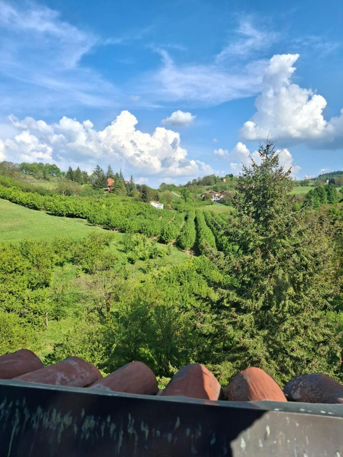 Cascina Bringin Appartement Mondovì Buitenkant foto
