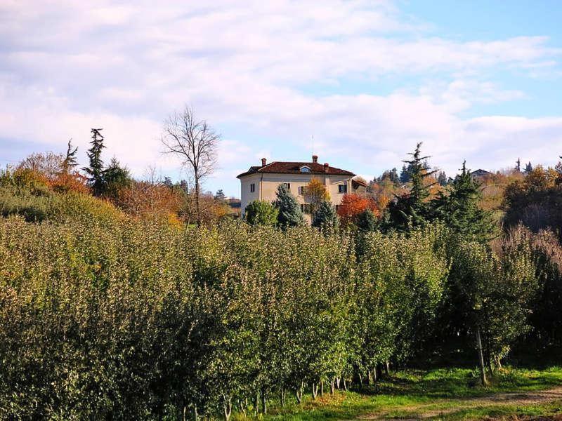 Cascina Bringin Appartement Mondovì Buitenkant foto